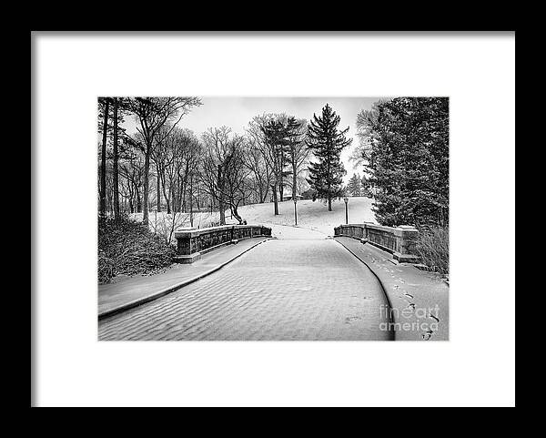 Snow Framed Print featuring the photograph A Walk in the Snow by Alissa Beth Photography