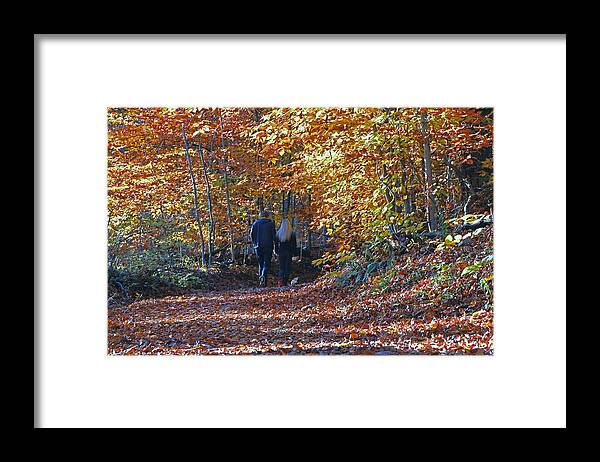 Nature Framed Print featuring the photograph A Walk Through the Woods by Allen Beatty