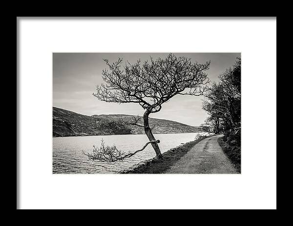 A Winter Tree Framed Print featuring the photograph A Winter tree by Martina Fagan
