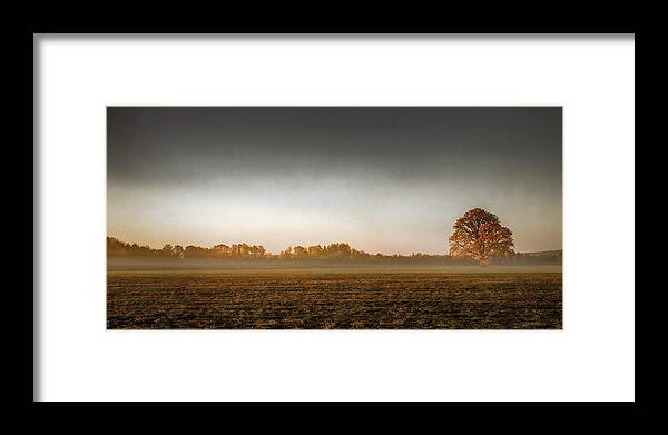 Autumn Framed Print featuring the photograph A Wisp of Fog in the Field by Don Schwartz