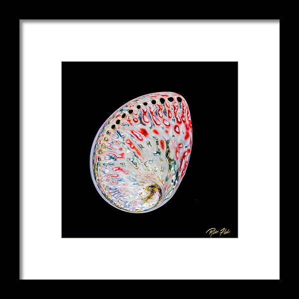 Animals Framed Print featuring the photograph Abalone - Touches of Red by Rikk Flohr