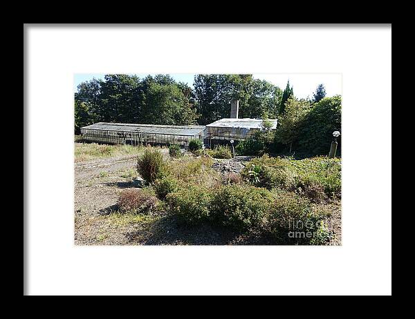 Old Horticulture Framed Print featuring the photograph Abanoned old horticulture by Eva-Maria Di Bella