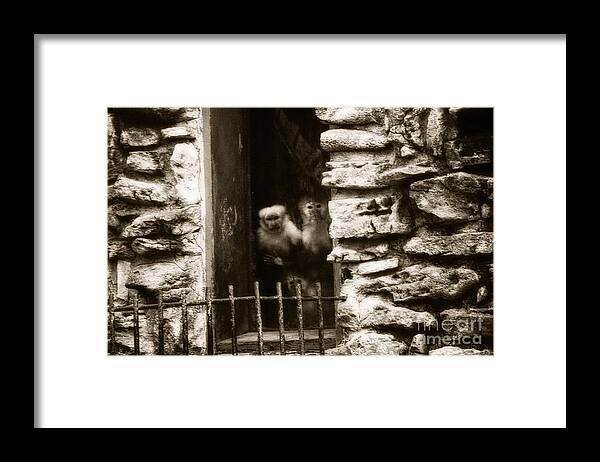 500 Views Framed Print featuring the photograph Able's Kin by Jenny Revitz Soper
