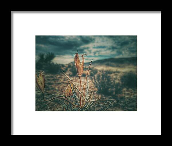 Southwest Framed Print featuring the photograph Remain by Mark Ross