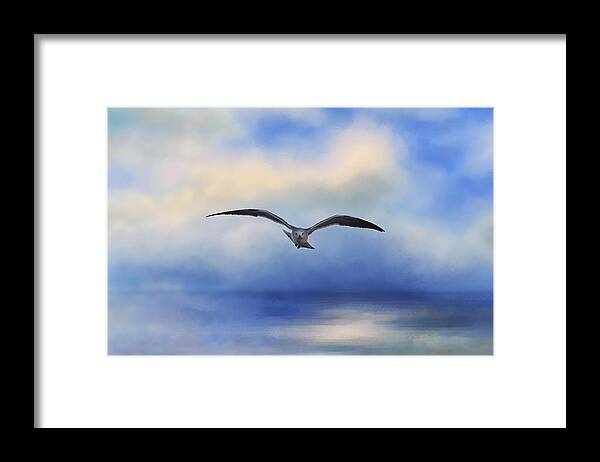 Seagull Framed Print featuring the photograph Above the Sea by Kim Hojnacki