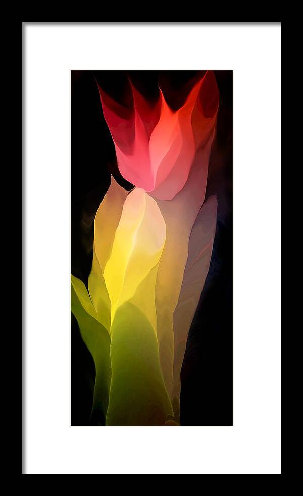 Fine Art Framed Print featuring the digital art Abstract 082312 by David Lane