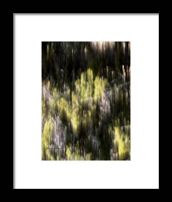 Abstract Art Framed Print featuring the photograph Abstract 3317 In the Forest by Kae Cheatham