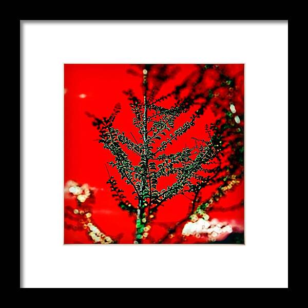 Exotic Framed Print featuring the photograph #abstract #art #artistic #collage by Sam Stratton