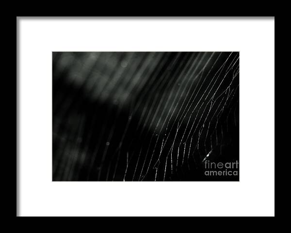  Background Framed Print featuring the photograph Abstract Cobweb by Yurix Sardinelly