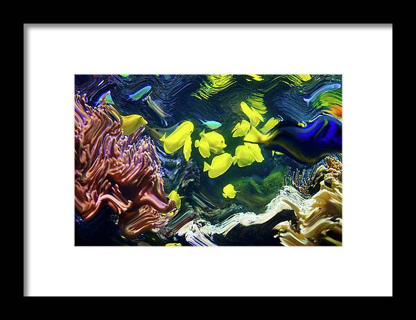 Animals Framed Print featuring the photograph Abstract Dancing Colorful ish by Dennis Dame