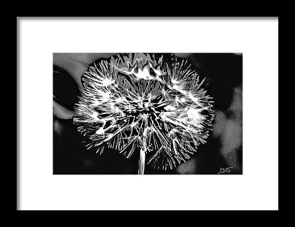Abstract Framed Print featuring the photograph Abstract Dandelion by Gina O'Brien