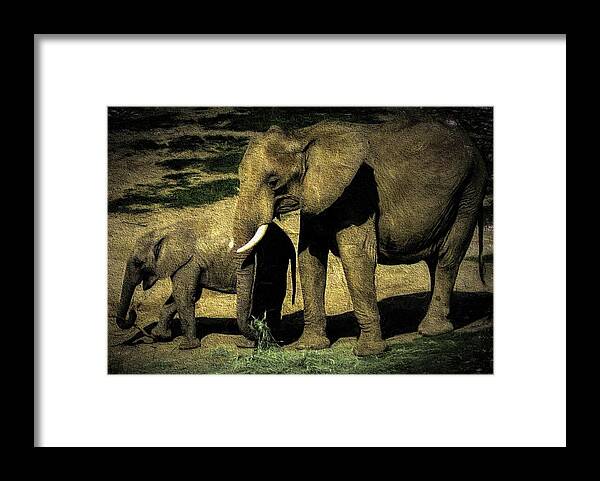 Elephants Framed Print featuring the photograph Abstract Elephants 23 by Kristalin Davis by Kristalin Davis