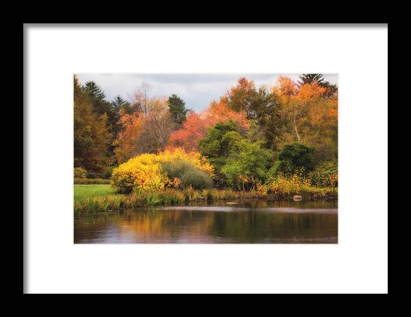 Nature Framed Print featuring the photograph Across the Pond by Tom Mc Nemar