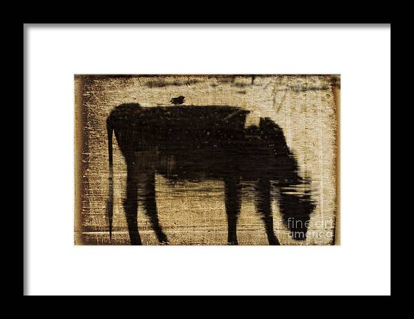 Cow Framed Print featuring the photograph Adios by Terry Doyle