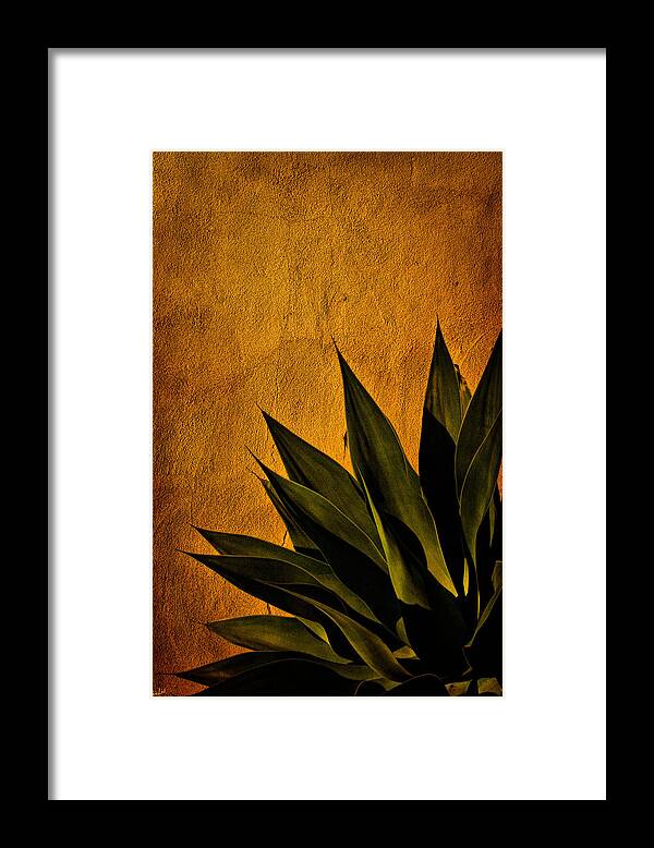 Agave Framed Print featuring the photograph Adobe and Agave at Sundown by Chris Lord