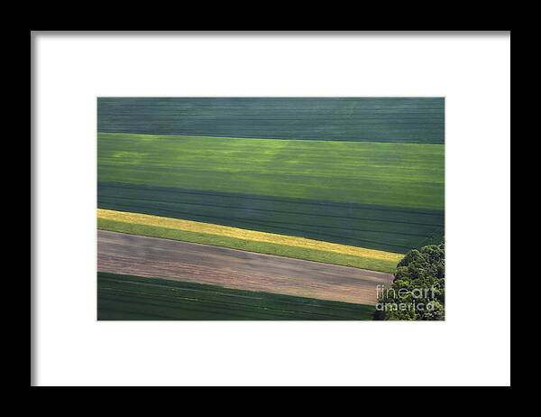 Aerial Framed Print featuring the photograph Aerial Abstract by Teresa Zieba