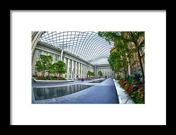 National Portrait Gallery Framed Print featuring the photograph Aesthetic Emotion by Mitch Cat