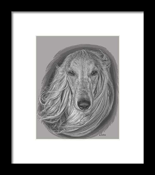 Afghan Hound Framed Print featuring the digital art Afghan by Larry Linton