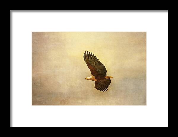 Africa. Framed Print featuring the tapestry - textile African Fish Eagle by Kathy Adams Clark