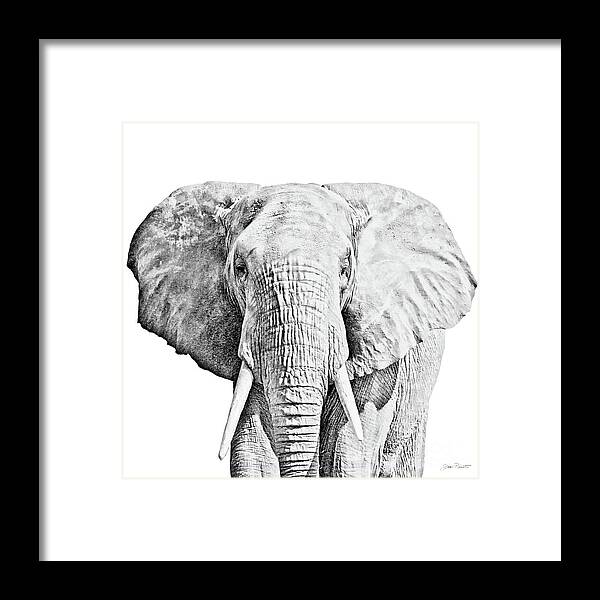 Safari Framed Print featuring the digital art African Safari B by Jean Plout