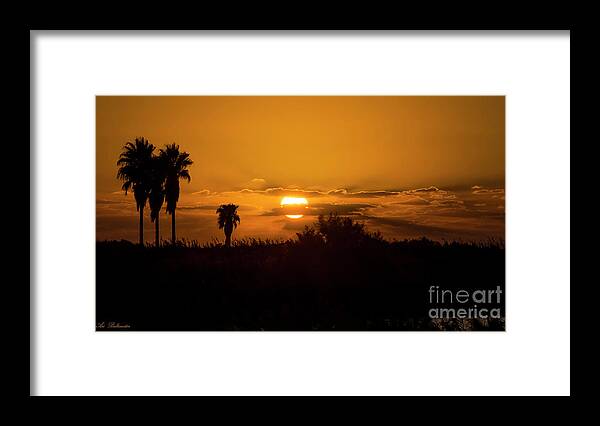 Sunset Framed Print featuring the photograph African style sunset by Arik Baltinester