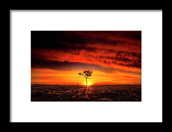 Sunset Framed Print featuring the photograph African Sunset by Matt Cohen