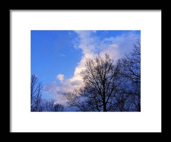 Trees Framed Print featuring the photograph After Effect by Hickory Tree Productions