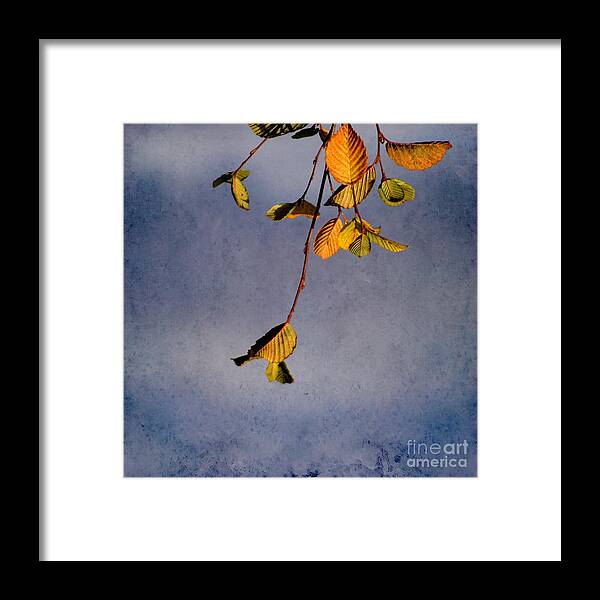 Leaves Framed Print featuring the photograph After Summer Leaves by Aimelle Ml