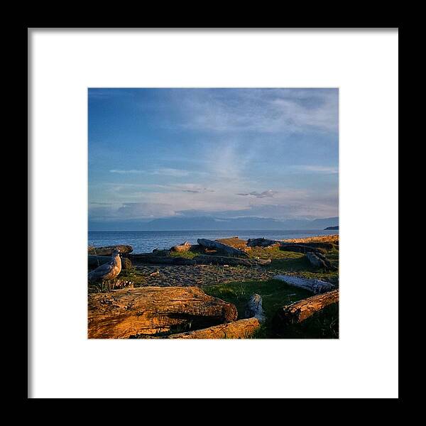 Lovetheview Framed Print featuring the photograph After Supper Relaxing At The Lagoon! by Victoria Clark