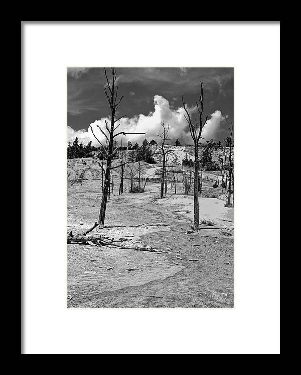 Yellowstone Framed Print featuring the photograph After the Fire by Nigel Fletcher-Jones
