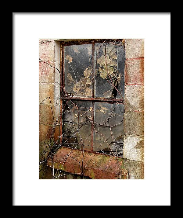 Barn Framed Print featuring the photograph After the Flood by Char Szabo-Perricelli
