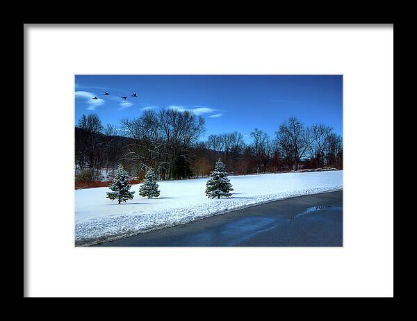 Photograph Framed Print featuring the photograph After the Snow by Reynaldo Williams