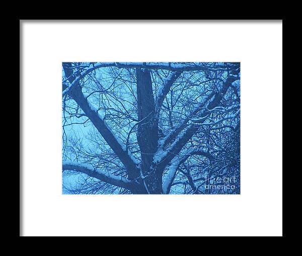Snow Framed Print featuring the photograph After the Storm by Randy Edwards