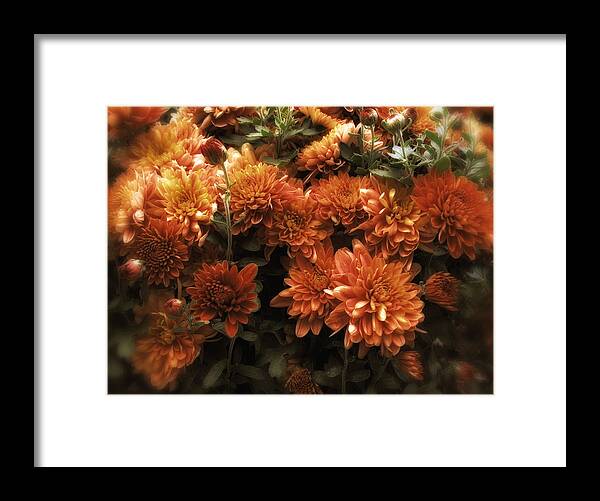 Flowers Framed Print featuring the photograph Afterglow by Jessica Jenney