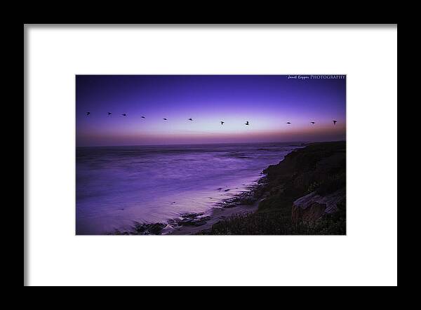 Birds Framed Print featuring the photograph Against the Wind by Janet Kopper