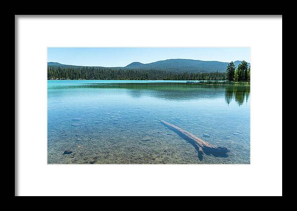 Oregon Framed Print featuring the photograph Air Water Log Lava Lake Oregon by Lawrence S Richardson Jr
