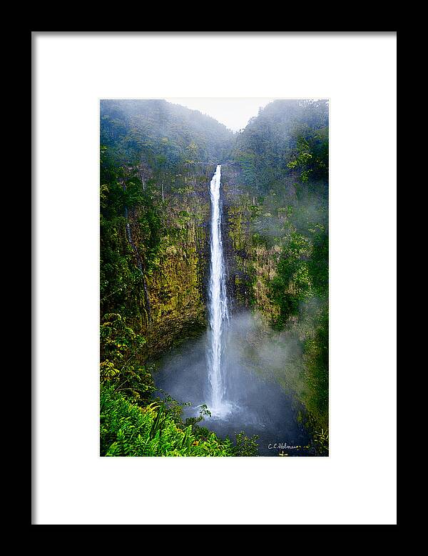 Nature Framed Print featuring the photograph Akaka Falls by Christopher Holmes