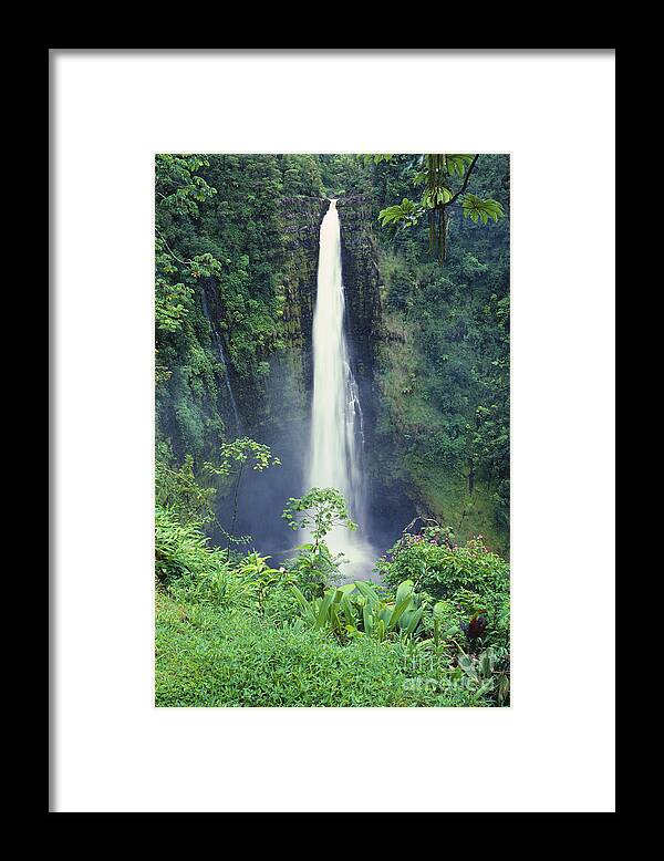 Active Framed Print featuring the photograph Akaka Falls by Greg Vaughn - Printscapes