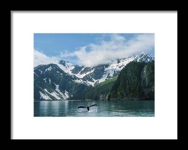 Alaska Framed Print featuring the photograph Alaska by Angie Vogel