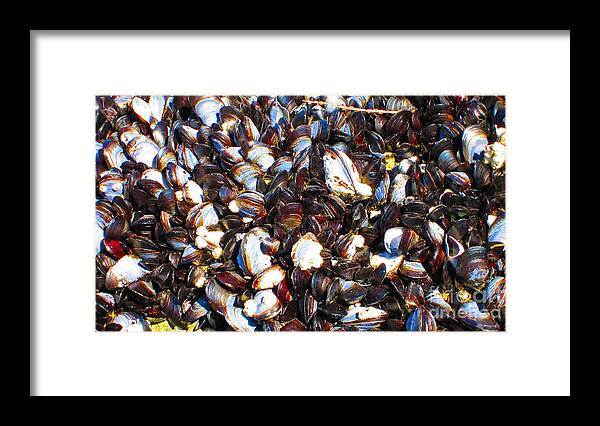Ketchikan Framed Print featuring the photograph Alaska clams2 by Laurianna Taylor