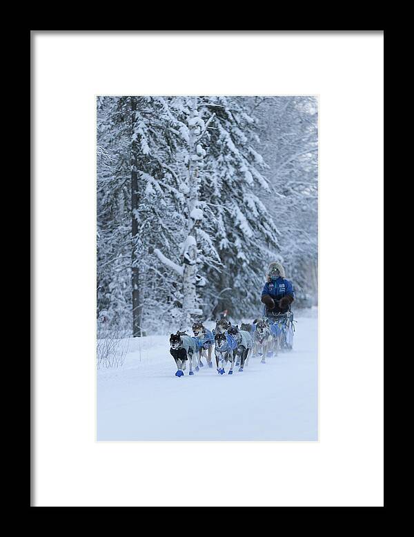 Alaska Framed Print featuring the photograph Alaska Dog Sled Team by Scott Slone