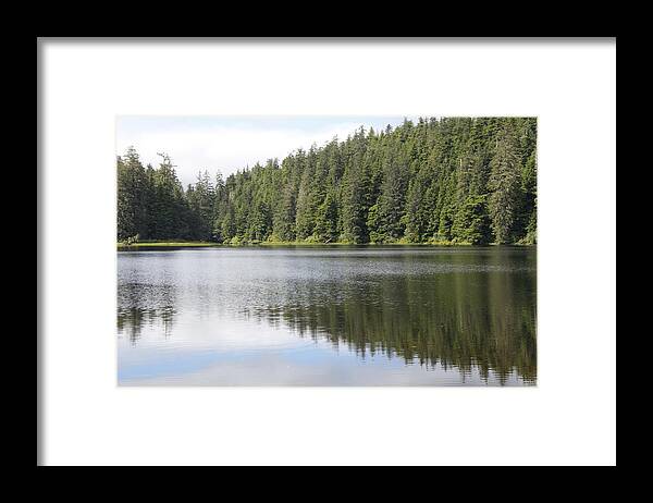 Tree Framed Print featuring the photograph Alaska Lake by John Mullins