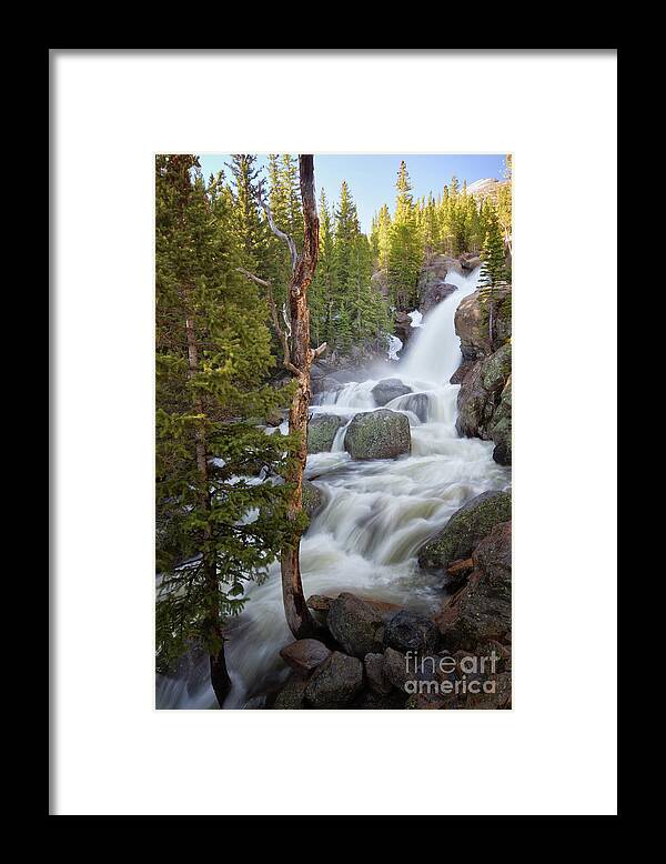 Alberta Falls Framed Print featuring the photograph Alberta Falls in Rocky Mountain National Park by Ronda Kimbrow