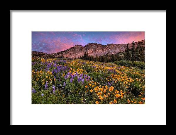 Albion Basin Framed Print featuring the photograph Albion Wild by Ryan Smith