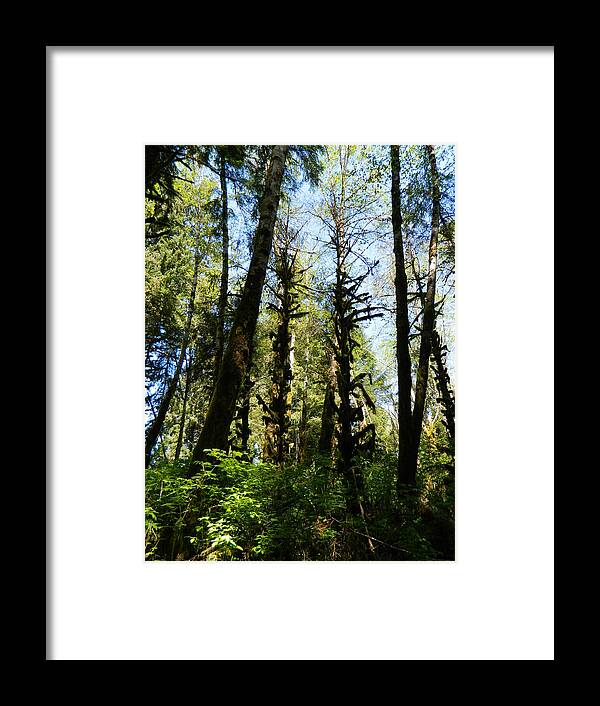 Trees Framed Print featuring the photograph Alien Trees by Gallery Of Hope 