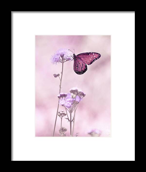 Flowers Framed Print featuring the digital art Alight by Sheila Ping