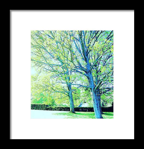 Trees Framed Print featuring the photograph Alive by HweeYen Ong
