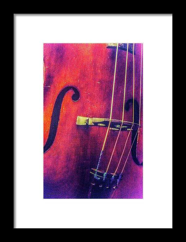Bass Framed Print featuring the photograph All About the Bass by Pamela Williams