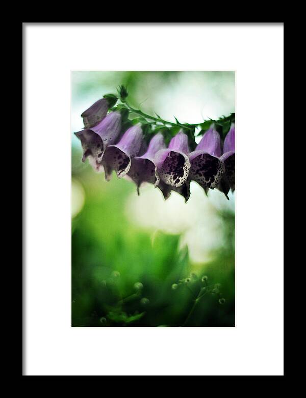 Purple Framed Print featuring the photograph All Becomes Festival by Rebecca Sherman