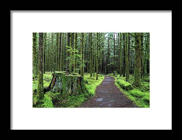 Alex Lyubar Framed Print featuring the pyrography All covered with green moss magic forest by Alex Lyubar